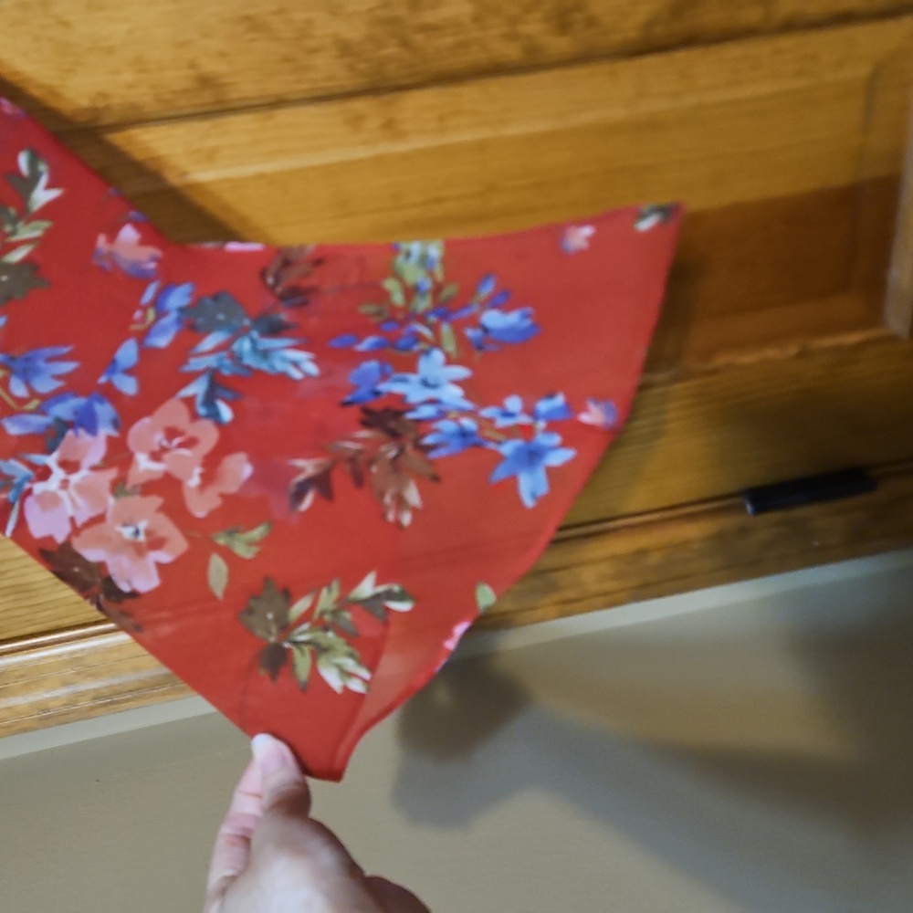 CAbi Red Floral Blouse - Picture 7 of 12
